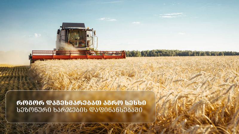 როგორ დაგეხმარებათ აგრო სესხი სეზონური ხარჯების დაფინანსებაში?
