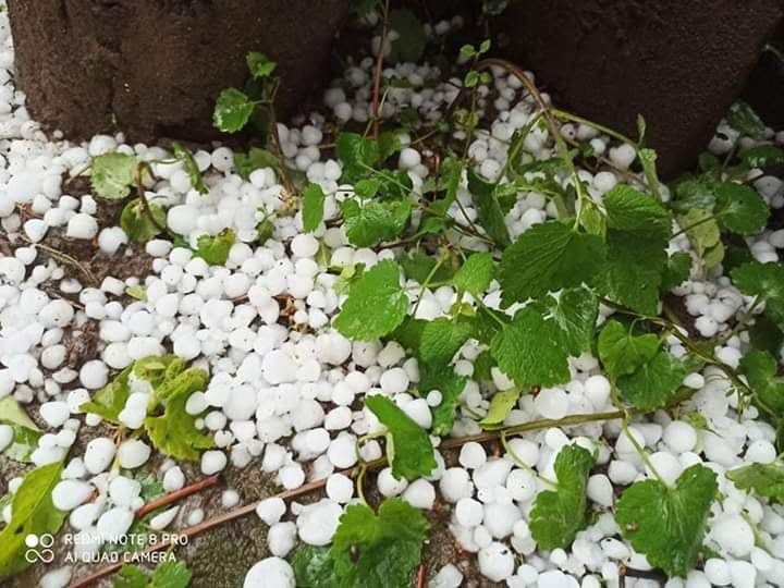 საჩხერის მუნიციპალიტეტში სეტყვამ მოსახლეობა დააზარალა
