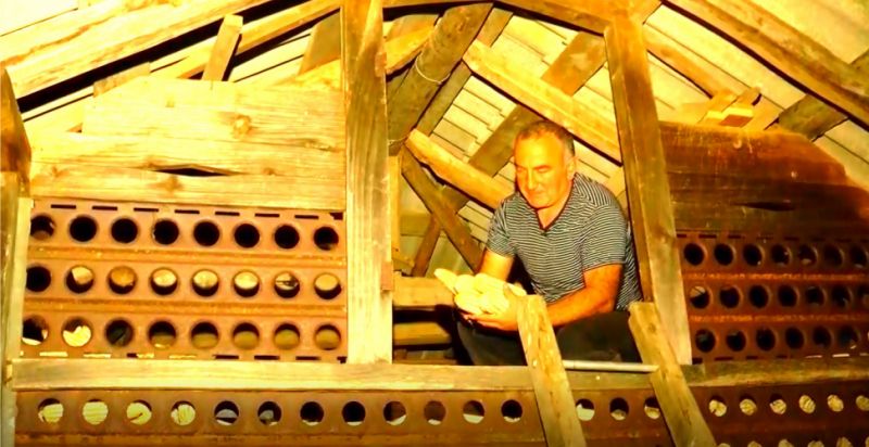 სიმინდის კარგი მოსავალი გურიაში – აზიური ფაროსანას წინააღმდეგ ჩატარებული ქიმიური წამლობის შედეგი