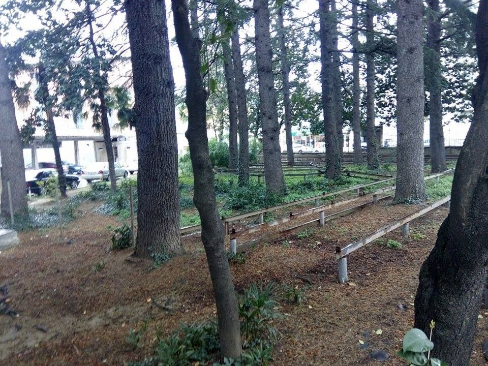 თეატრის ეზოში 8 მეტრის სიმაღლის კაფე შენდება?
