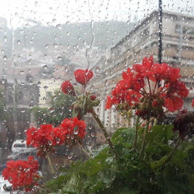 როგორი ამინდი იქნება აღდგომას საქართველოში?