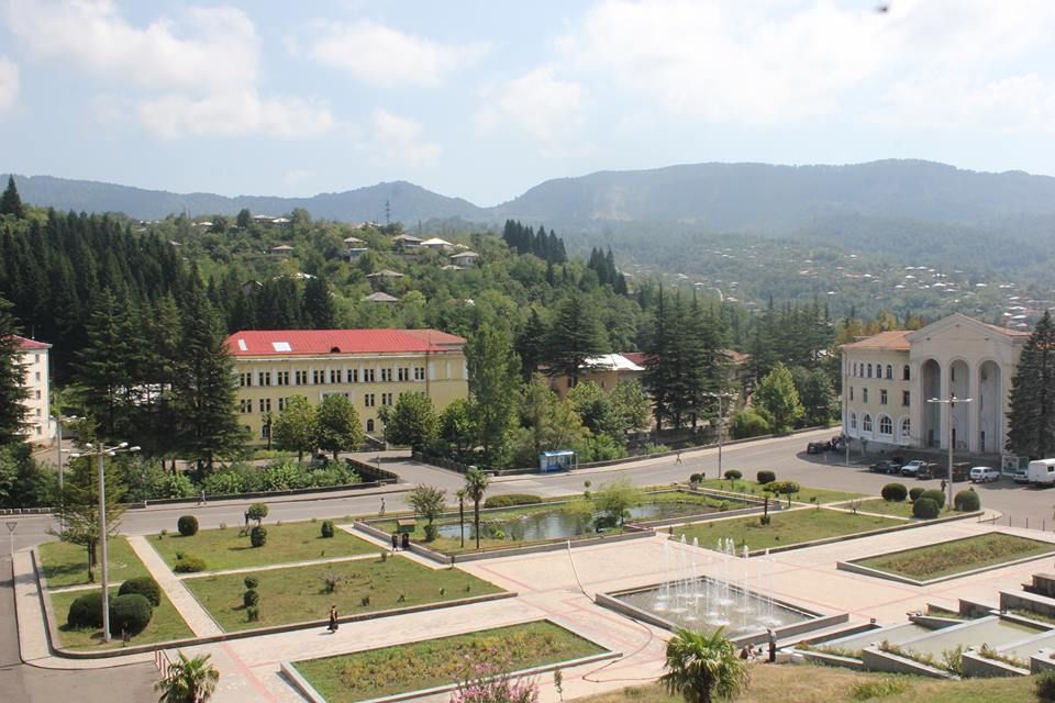 ტყიბულსა და თერჯოლაში   ზეწოლის ფაქტებზე საუბრობენ