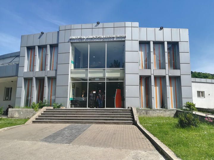 ტყიბულის საავადმყოფოში შეყვანილი 16 მოსწავლიდან სამი თბილისში გადაიყვანეს