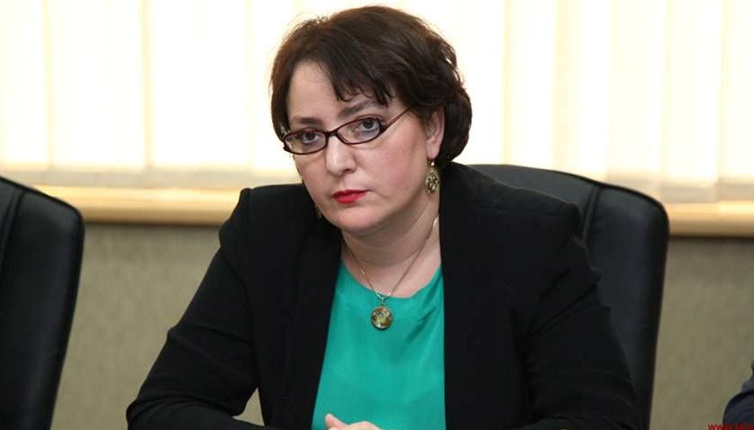 თინა ხიდაშელი სამინისტროების შემცირების ინიციატივით გამოდის