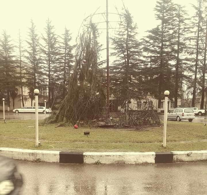 ხონში მთავარი ნაძვის ხე დაიწვა