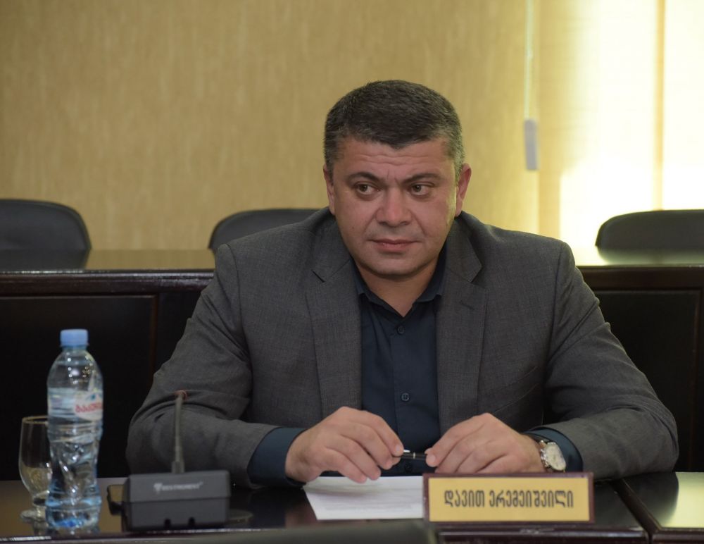 მგზავრობის ღირებულების გაზრდა არ იგეგმება – დავით ერემეიშვილი