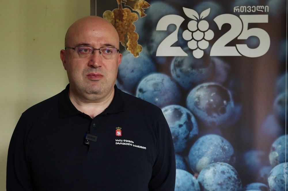 2025 წელს, ბოლო 30 წლის ყველაზე მაღალი, რეკორდული რაოდენობის ყურძნის მოსავალი დაფიქსირდა