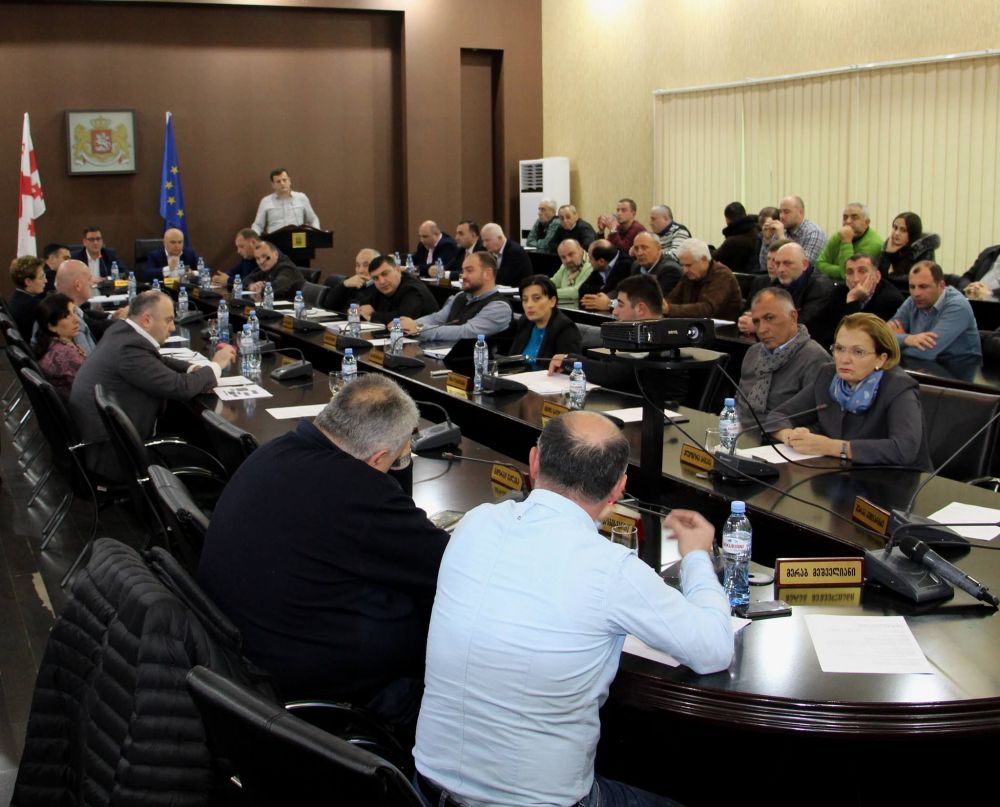ქუთაისის საკრებულომ 2019 წლის ბიუჯეტი დაამტკიცა