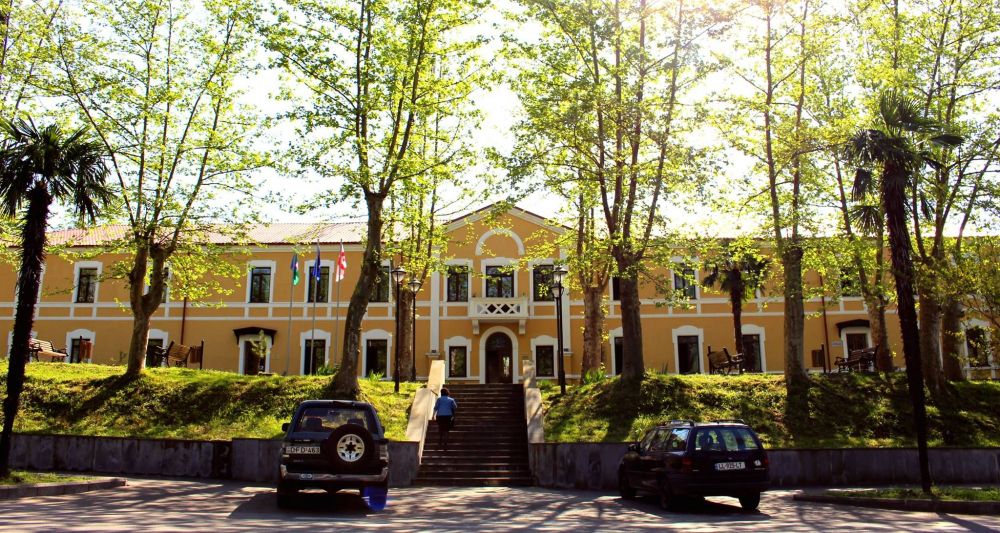 წყალტუბოს საკრებულოს დეპუტატმა  „ნაციონალური მოძრაობა“  დატოვა