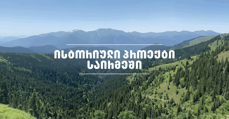მალე საირმის ტყეს კეთილშობილი კავკასიური ირემი დაუბრუნდება – ფერმის მშენებლობა 2025 წლის გაზაფხულზე დაიწყება