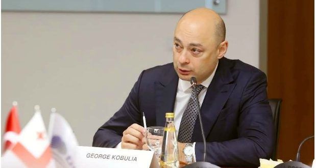 “ადგილობრივ თვითმმართველობებს ქონებას სამინისტრო მიზანშეწონილობის შესაბამისად გადასცემს”