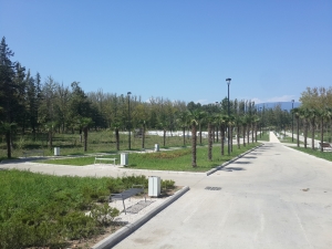 როგორ გამოიყურება რეაბილიტირებული წყალტუბო?